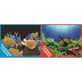Фон двухсторонний с одной самоклеящейся стороной Морские кораллы/Подводный мир 30x60см 9096-1/9097+