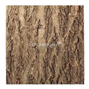 Фон натуральная кора на пробке, 450*450мм, Repti-zoo