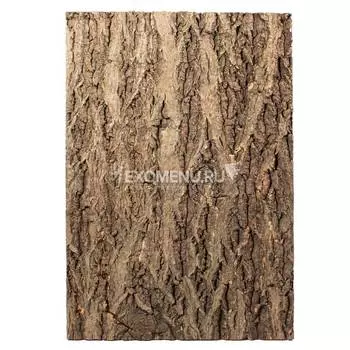 Фон натуральная кора на пробке, 450*600мм, Repti-zoo
