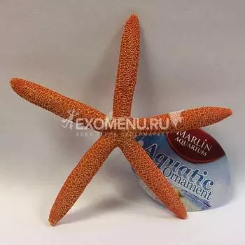Грот "Морская звезда" оранжевая 15*13,8*1,7см (MJA-039)