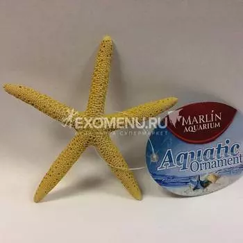 Грот "Морская звезда" желтая 15*13,8*1,7см (MJA-040)