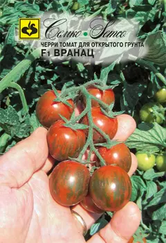 Томат черри "Семко" Вранац F1 10шт