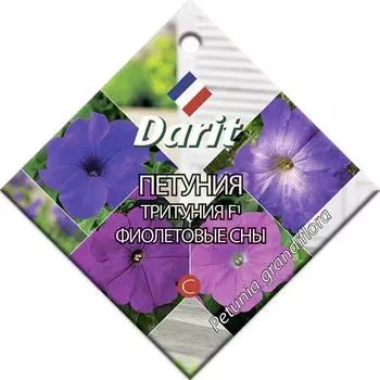 Семена Петуния (тритуния) "Darit" Фиолетовые сны F1 10шт