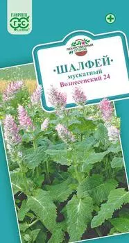 Семена Шалфей "Гавриш" Мускатный вознесенский-24 0,3г