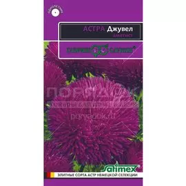 Семена Цветы, Астра, Джувел Аметист, 0.05 г, Эксклюзив, цветная упаковка, Гавриш