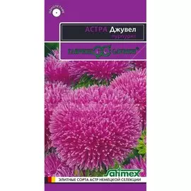 Семена Цветы, Астра, Джувел Пурпурит, 0.1 г, Эксклюзив, цветная упаковка, Гавриш