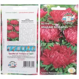 Семена Астра Мадам Бовари в цветной упаковке Седек