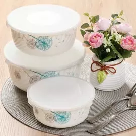 Салатник стеклокерамика, круглый, 3 шт, 19, 16, 14 см, 0.5, 0.8, 1.4 л, с крышкой, подарочная упаковка, Одуванчик, Daniks, K2124