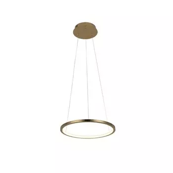 Подвесной светильник светодиодный Loft It Ring 10014S кольцо