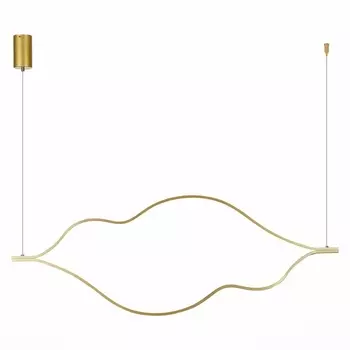 Подвесной светильник светодиодный ST Luce Cortile SL6106.203.56