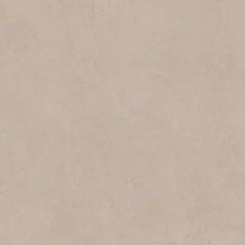 Настенная плитка Atlas Concorde Boost Natural Ash 60x60