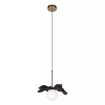 Подвесной светильник LOFT IT 10213/A Black