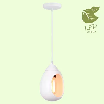 Подвесной светильник LOFT GRLSP-8034