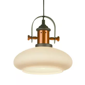 Подвесной светильник LOFT LSP-9845