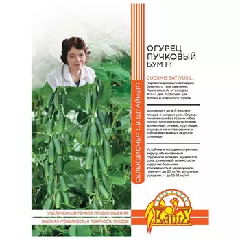 семена огурец Бум 5шт селекция Штайнерт