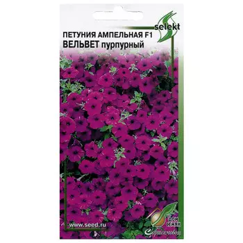 семена Петуния ампельная Вельвет пурпурный ДОМ СЕМЯН 0,05г