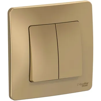 Выключатель двухклавишный (титан) Systeme Electric Blanca BLNVS010504