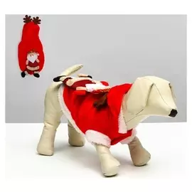 Куртка на кнопочках с меховой отделкой Santa, XXL (ДС 40, ОГ 52 см)
