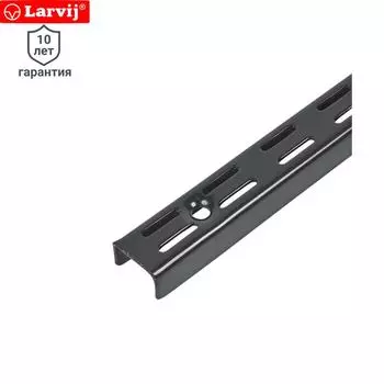 Направляющая двухрядная Larvij 100 см 55 кг/20 см цвет чёрный
