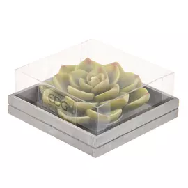 Свеча Edg succulent 5х13см