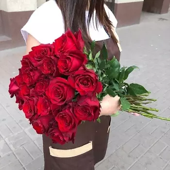 MILOTTA FLORAL SHOP 21 бордовая роза