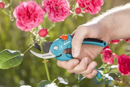 Секатор контактный Gardena B/S-M черный/синий 08853-30.000.00