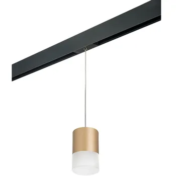 Трековый светильник однофазный 220V Lightstar Rullo PRORP349081