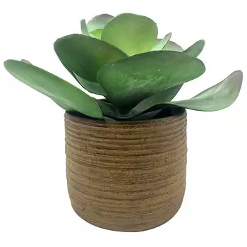Искусственное растение Hogewoning Vases &amp; Pots Листья лотоса 27см