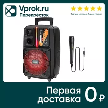 Колонка портативная Hoco Bluetooth BS37 Dancer BT5.0 10W AUX TWS FM microSD USB RGB Light + микрофон черный