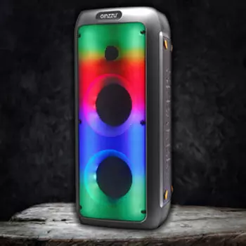 Портативная колонка Ginzzu GM-217, TWS/BT/USB/TF/FM/ ДУ