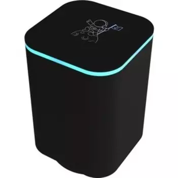 Портативная колонка Ritmix SP-340B black