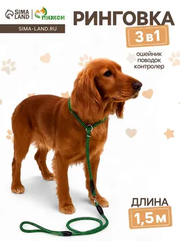 Ринговка для собак, с вертлюгом, 1500.6 см, черная/зеленая