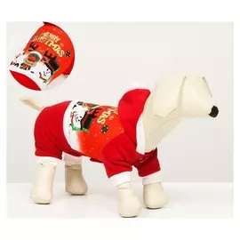 Комбинезон на кнопочках Christmas, XL (ДС 42, ОШ 46, ОГ 58 см)