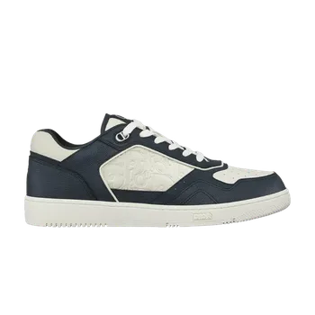 Кроссовки Dior B27 Low 'Dior Gravity - Navy Blue', синий