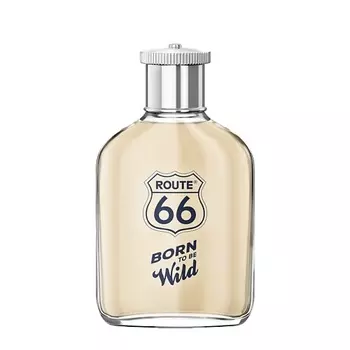 ROUTE 66 Born To Be Wild 100
