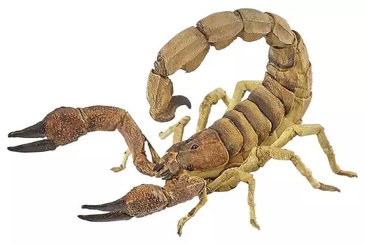 Фигурка – Скорпион