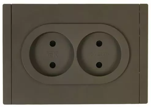 Розетка двухместная без заземления IEK FP-R23-10-1-K03 FORTE&PIANO с защитными шторками б/к 10А FP325 серый