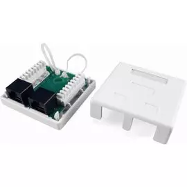 Розетка Hyperline SB1-2-8P8C-C6-WH компьютерная RJ-45(8P8C), категория 6, двойная, внешняя, Dual IDC