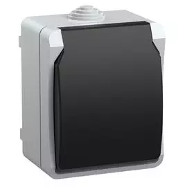 Розетка IEK ERS12-K03-16-54-DC РСб20-3-ФСр одноместная с з/к для открытой установки IP54