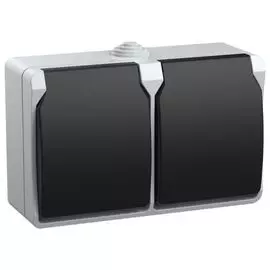 Розетка IEK ERS22-K03-16-54-DC ФОРС двойная наружная с заземлением с крышкой IP54 (РСб22-3-ФСр)