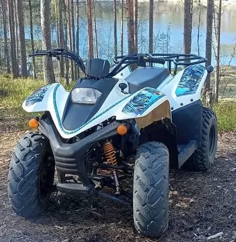 Квадроцикл BALTMOTORS Jam 100 (2022) Б/У