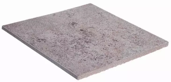 Напольная плитка Gresmanc Base Fuji Asper (Anti-slip) 31х31х1,4