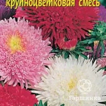 Семена Астра Принова крупноцветковая смесь 0,2 гр Плазменные семена