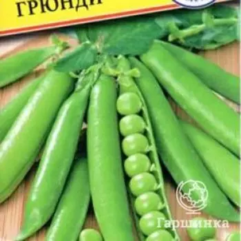 Семена Горох "Грюнди" 4 гр, Престиж