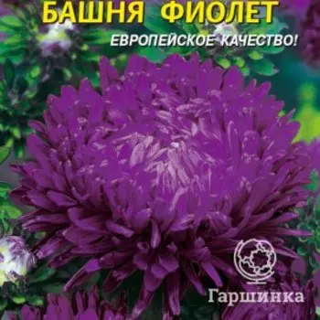Семена Астра Башня Фиолет 0,3 гр Плазменные семена
