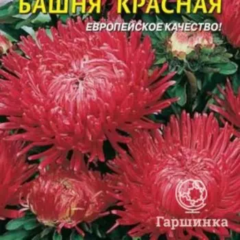 Семена Астра Башня Красная 0,3 гр Плазменные семена