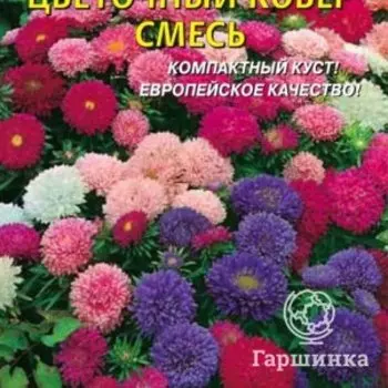 Семена Астра Цветочный ковер, СМЕСЬ 0,2 гр Плазменные семена