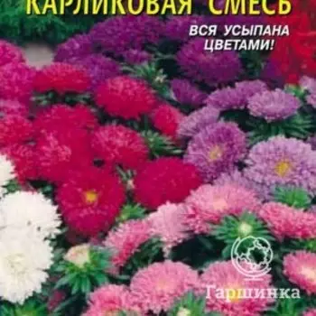 Семена Астра Карликовая смесь 0,3 гр Плазменные семена