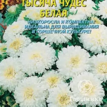 Семена Астра карликовая Тысяча чудес белая 0,2гр Плазменные семена