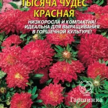 Семена Астра карликовая Тысяча чудес красная 0,2гр Плазменные семена